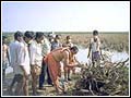 Sadhus cremate the dead