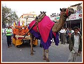 A decorated camel cart