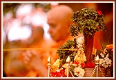     Lord Harikrishna Maharaj also sprays sanctified colored water on the devotees