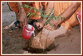 Launching of tree planting campaign, Gandhidham