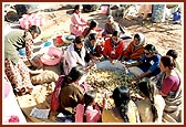 Volunteers helping preparing vegetables 