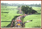 The Nagar Yatra moves through lush green sugarcane fields