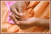 Swamishri performs the shilanyas pujan with rice and flowers