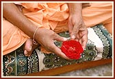 Swamishri performs the shilanyas pujan with rice and flowers