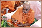 Swamishri performs rituals of Govardhan Puja