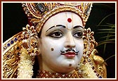 Shri Ghanshyam Maharaj beautifully adorned for the festive occasion
