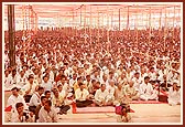 A large congregation of devotees during the festival