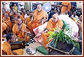 Swamishri performs rituals of Govardhan Puja