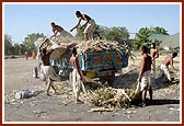 Sadhaks engaged in various services as part of their training program in Sarangpur 