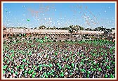 Releasing of peace balloons by Swamishri, dignitaries and 20,000 children 