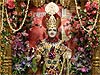 Vasant Panchmi Celebrations BAPS Shri Swaminarayan Mandir, London