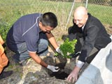 BAPS Tree Plantation Drive