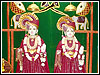 Guru Purnima Celebration, 