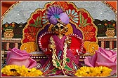 Harikrishna Maharaj adorned for the occasion