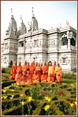 Swamishri and sadhus in the garden next to the Mandir