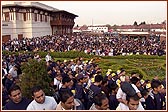 Devotees seated in special T-shirts and caps eagerly awaiting the start of the Walk