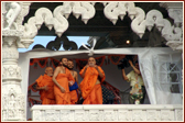 Swamishri releases a white dove with prayers for World Peace at the end of the Rath Yatra