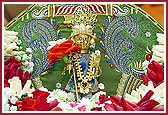 Shri Harikrishna Maharaj during Swamishri’s pooja

 