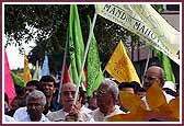 Devotees proudly wave banners during the procession