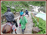 Kishoris ride mules to Kedarnath