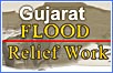 Gujarat Flood Relief Work