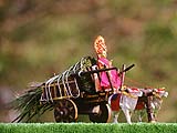 Harikrishna Maharaj installed on a bullock cart, Atladra