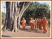 Swamishri, by the peepal tree sanctified by Lord Swaminarayan, Dharampur, 3 May 1999