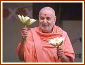 Swamishri with sanctified lotus flower in hand, 8 Oct 99