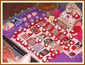 Swamishri's Puja