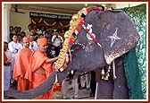Swamishri blesses the elephant