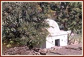 Swamishri stands on a stone to have darshan of Neelkanthvarni's visit to the ashram (no longer existing) of Haridas bawa. 