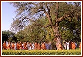 Circumambulating the holy tree sanctified by Lord Swaminarayan. It is also the place where the mortal body of Shastriji Maharaj was brought before it was cremated