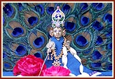 Lord Harikrishna Maharaj