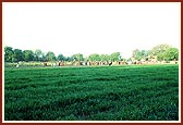 The grounds of Akshar Vadi