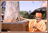 Touching the sacred tamarind tree (ambli) where Lord Swaminarayan had rocked on a swing, Laxmi Vadi