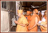 Engrossed in darshan of the murti of Vasudevnarayan in the darbar of Dada Khachar