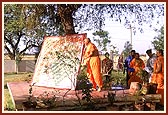 Swamishri offering respects to the tree where Shastriji Maharaj had sat