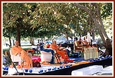 Swamishri blesses the festival assembly in a park