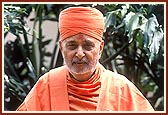 Swamishri with Lord Harikrishna Maharaj