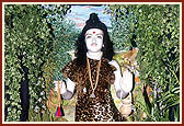 Lord Ghanshyam Maharaj dressed as Nilkanth Varni