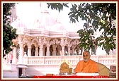 Swamishri in his morning puja