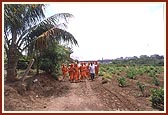 Swamishri sanctifies the mandir farm 