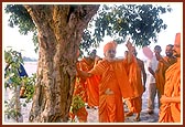Swamishri takes a round on site