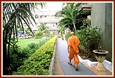 Swamishri's evening walk on the grounds of Akshar Purushottam Chhatralay