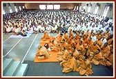 Sadhus and devotees engaged in darshan of morning puja 
