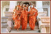 Descending the mandir steps after Thakorji's darshan