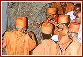The holy tamarind tree beneath which Shriji Maharaj had initiated three paramhansas, viz: Magniram, Premanand Swami and Anandanand Swami.vv