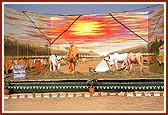 A spot displays BAPS cattle camp services during the 1989 drought in Gujarat