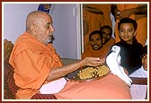 Swamishri feeds and blesses a pair of pet pigeons  
