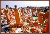 Sadhus prepare to bathe